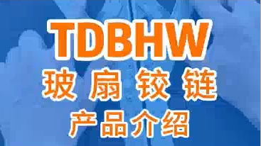 TDBHW玻扇铰链产品介绍